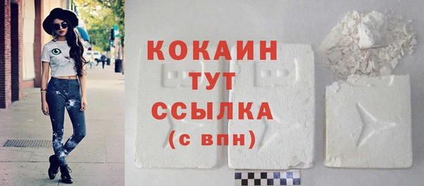 стафф Осинники