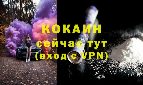 стафф Осинники