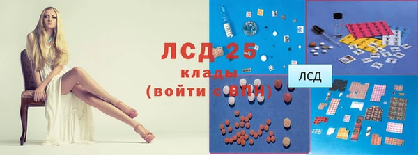 гашик Няндома