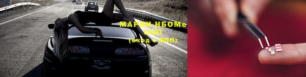 стафф Осинники