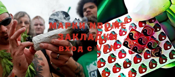 прущие грибы Семилуки