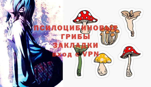 2c-b Осташков