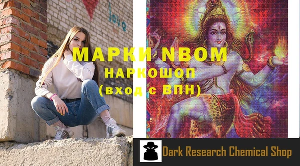 гашик Няндома