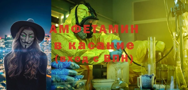 гашик Няндома