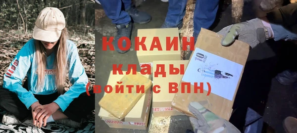 гашик Няндома