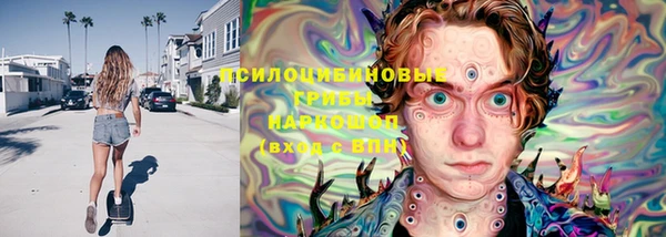 дурь Нягань