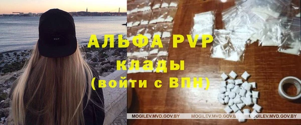 стафф Осинники