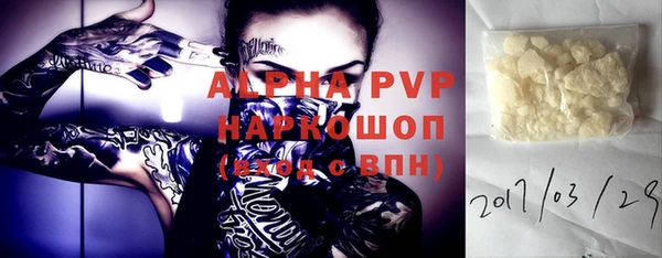 стафф Осинники