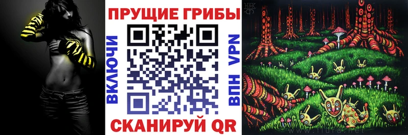 Псилоцибиновые грибы GOLDEN TEACHER  где можно купить   Серафимович 